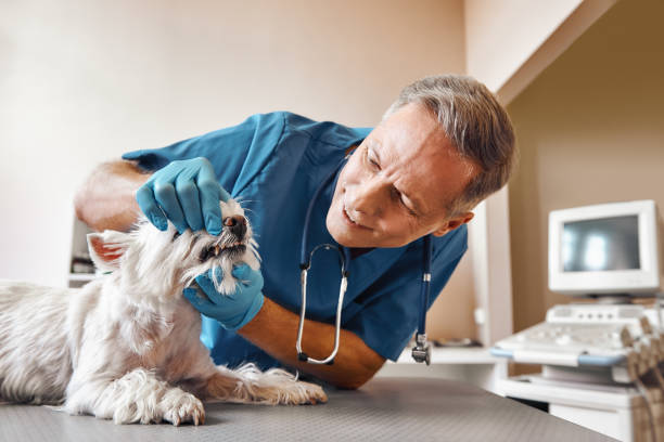 Best Emergency Wisdom Tooth Extraction in Fort Dick, CA